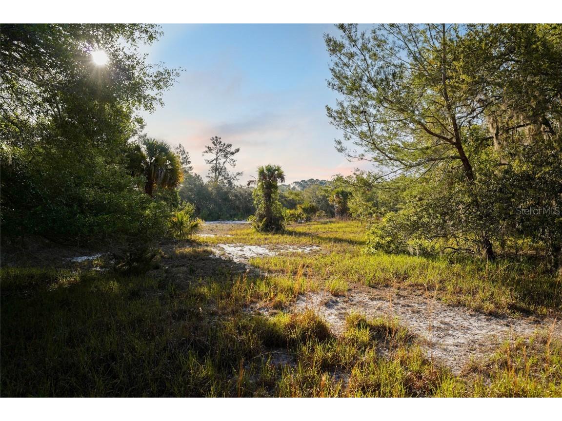 356 Drayton Island Road Georgetown FL 32139 - LAKE GEORGE / ST. JOHNS RIVER FC309078 image28