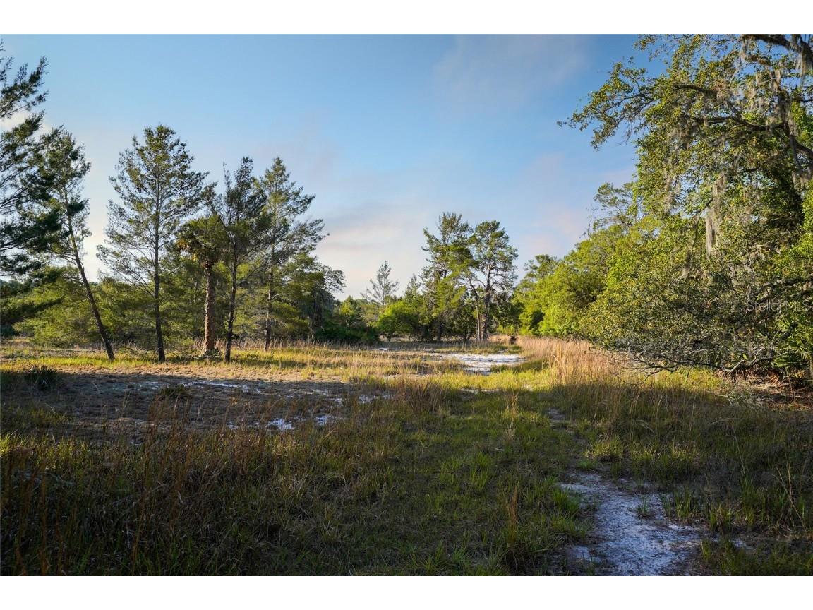 356 Drayton Island Road Georgetown FL 32139 - LAKE GEORGE / ST. JOHNS RIVER FC309078 image29