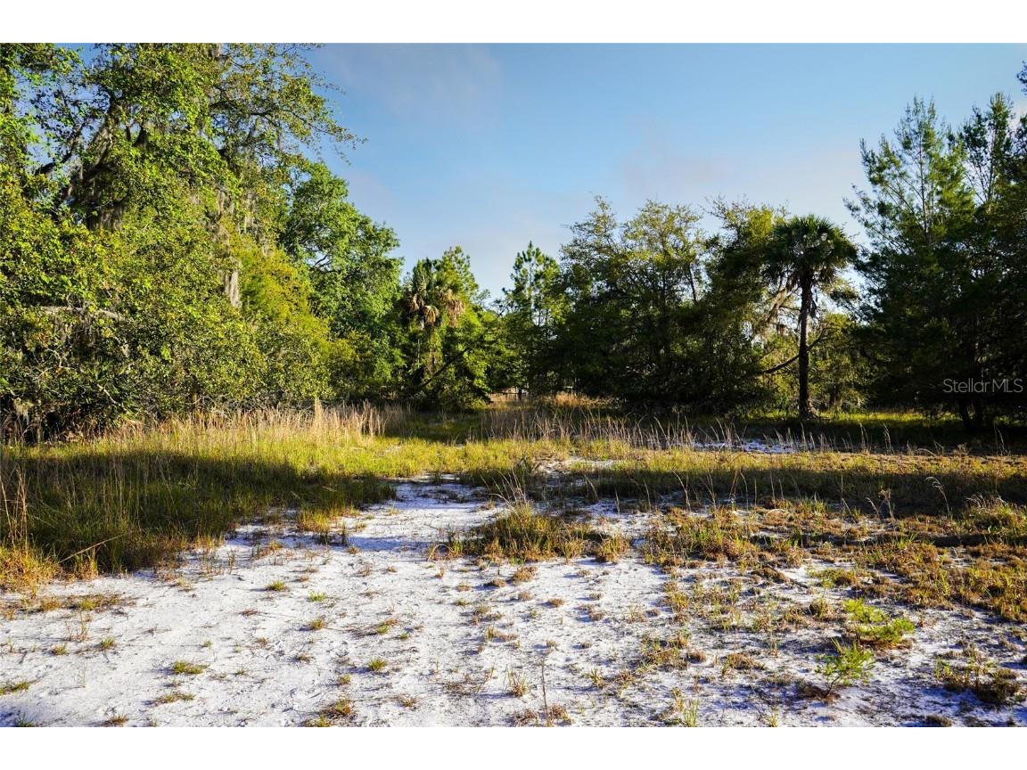 356 Drayton Island Road Georgetown FL 32139 - LAKE GEORGE / ST. JOHNS RIVER FC309078 image30