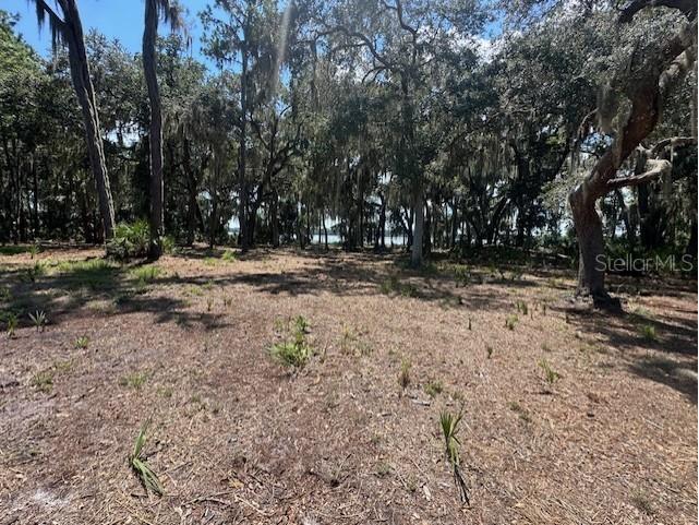 356 Drayton Island Road Georgetown FL 32139 - LAKE GEORGE / ST. JOHNS RIVER FC309078 image31