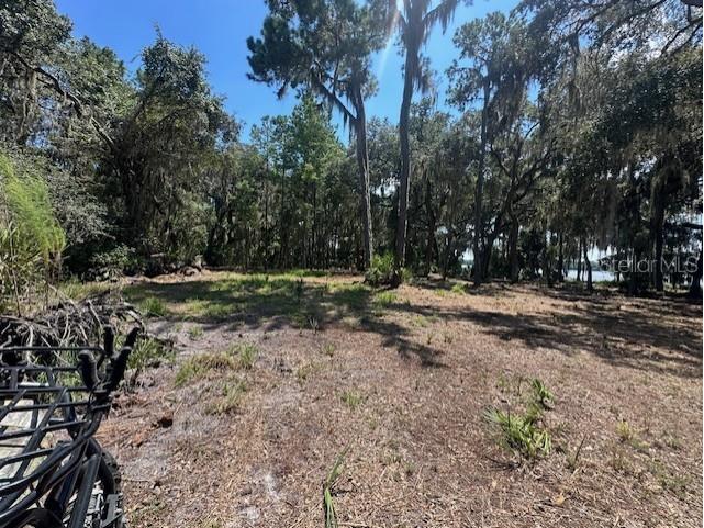 356 Drayton Island Road Georgetown FL 32139 - LAKE GEORGE / ST. JOHNS RIVER FC309078 image32