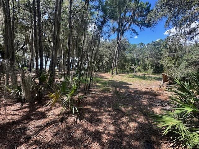 356 Drayton Island Road Georgetown FL 32139 - LAKE GEORGE / ST. JOHNS RIVER FC309078 image33