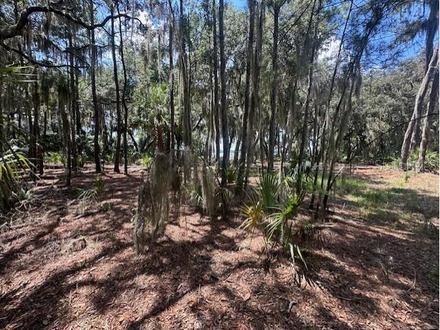 356 Drayton Island Road Georgetown FL 32139 - LAKE GEORGE / ST. JOHNS RIVER FC309078 image34