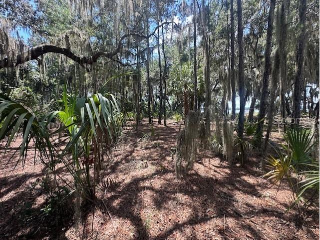 356 Drayton Island Road Georgetown FL 32139 - LAKE GEORGE / ST. JOHNS RIVER FC309078 image35