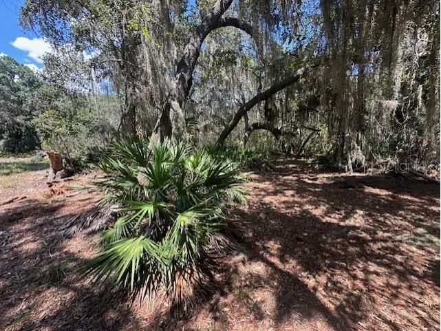 356 Drayton Island Road Georgetown FL 32139 - LAKE GEORGE / ST. JOHNS RIVER FC309078 image37