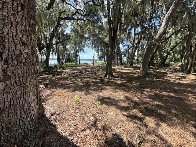 356 Drayton Island Road Georgetown FL 32139 - LAKE GEORGE / ST. JOHNS RIVER FC309078 image38