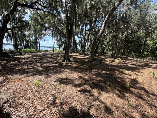 356 Drayton Island Road Georgetown FL 32139 - LAKE GEORGE / ST. JOHNS RIVER FC309078 image39