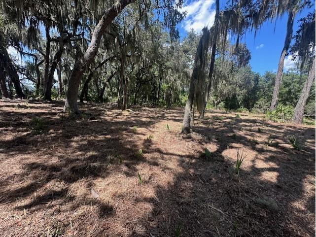 356 Drayton Island Road Georgetown FL 32139 - LAKE GEORGE / ST. JOHNS RIVER FC309078 image40