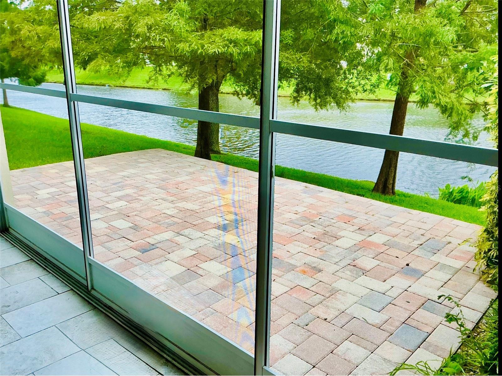 356 Harbor Ridge Drive Palm Harbor FL 34683 TB8473214 image15