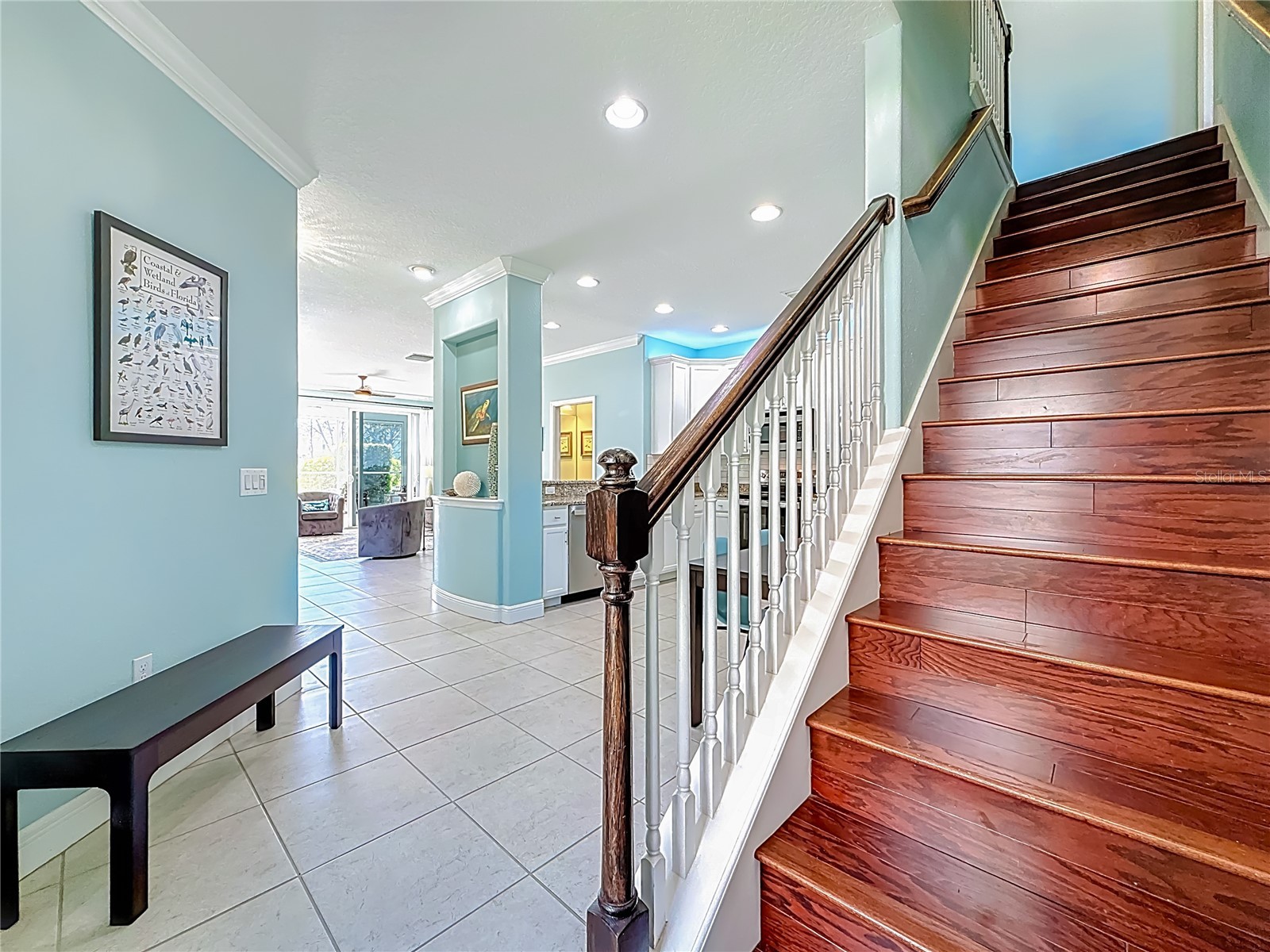 356 Harbor Ridge Drive Palm Harbor FL 34683 TB8473214 image26