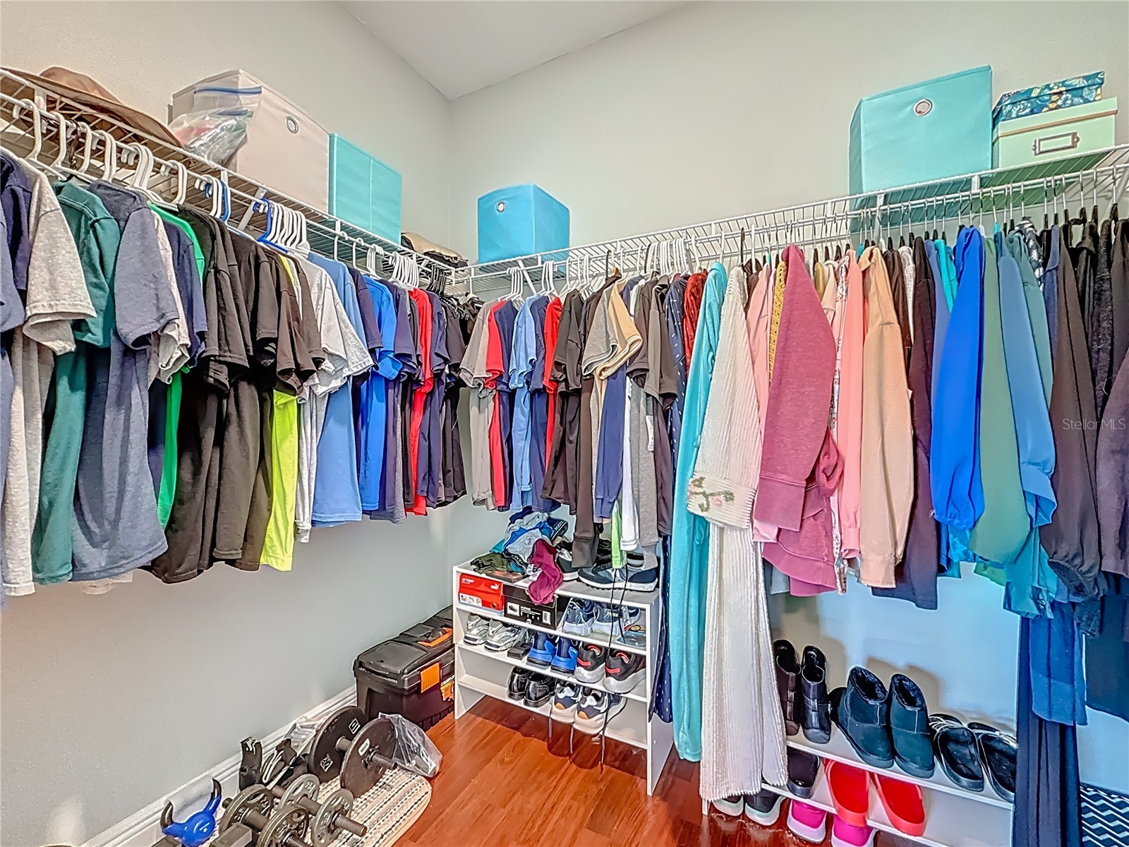 356 Harbor Ridge Drive Palm Harbor FL 34683 TB8473214 image31