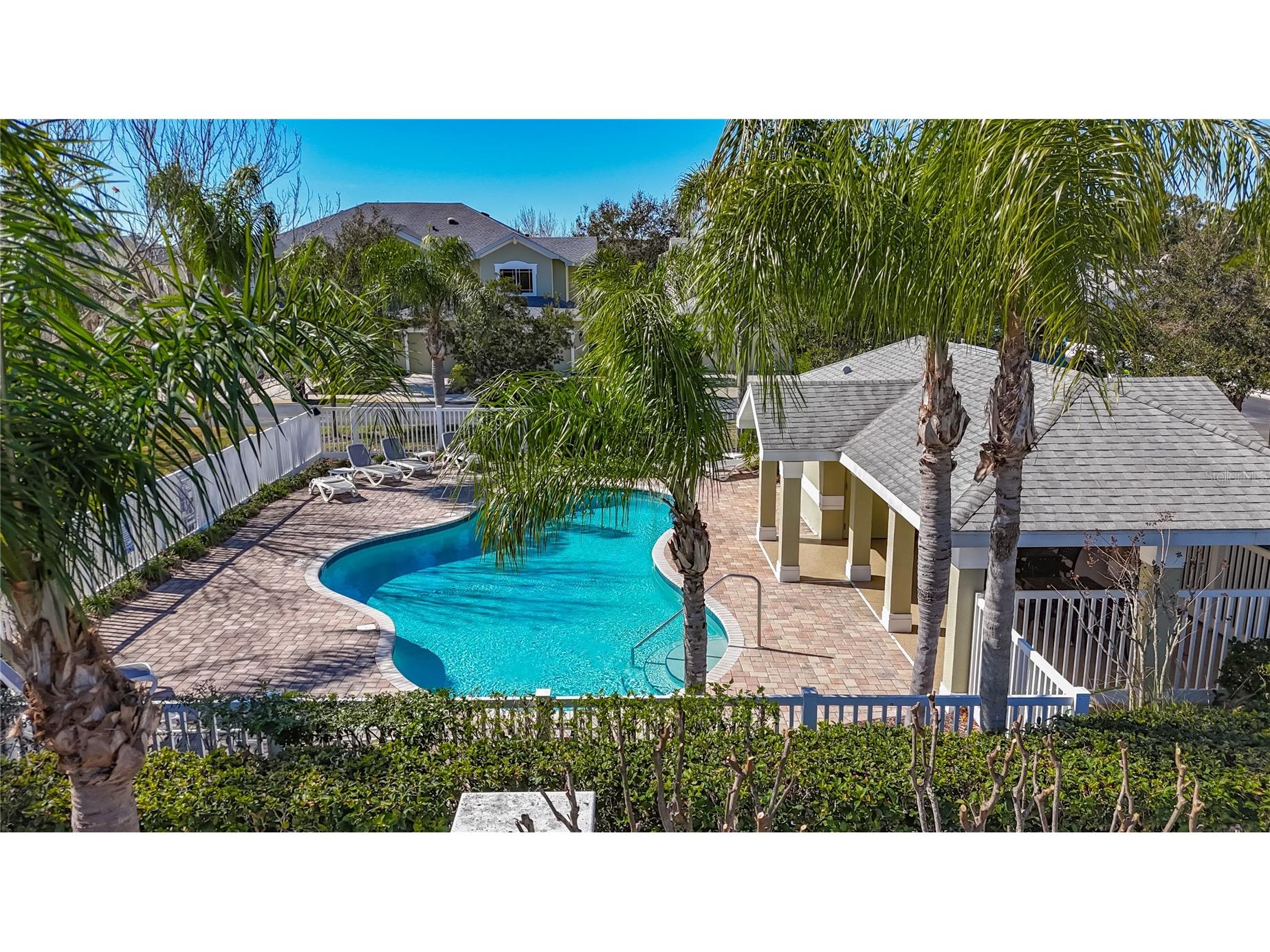 356 Harbor Ridge Drive Palm Harbor FL 34683 TB8473214 image43