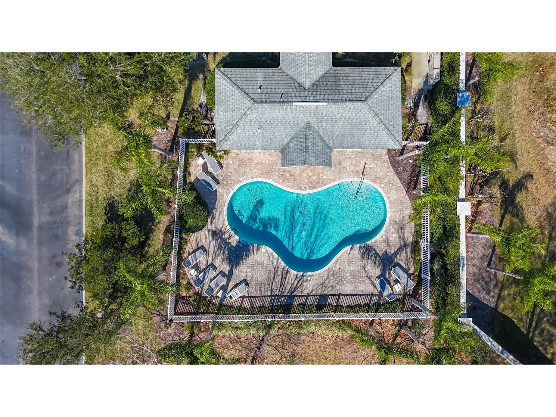 356 Harbor Ridge Drive Palm Harbor FL 34683 TB8473214 image44