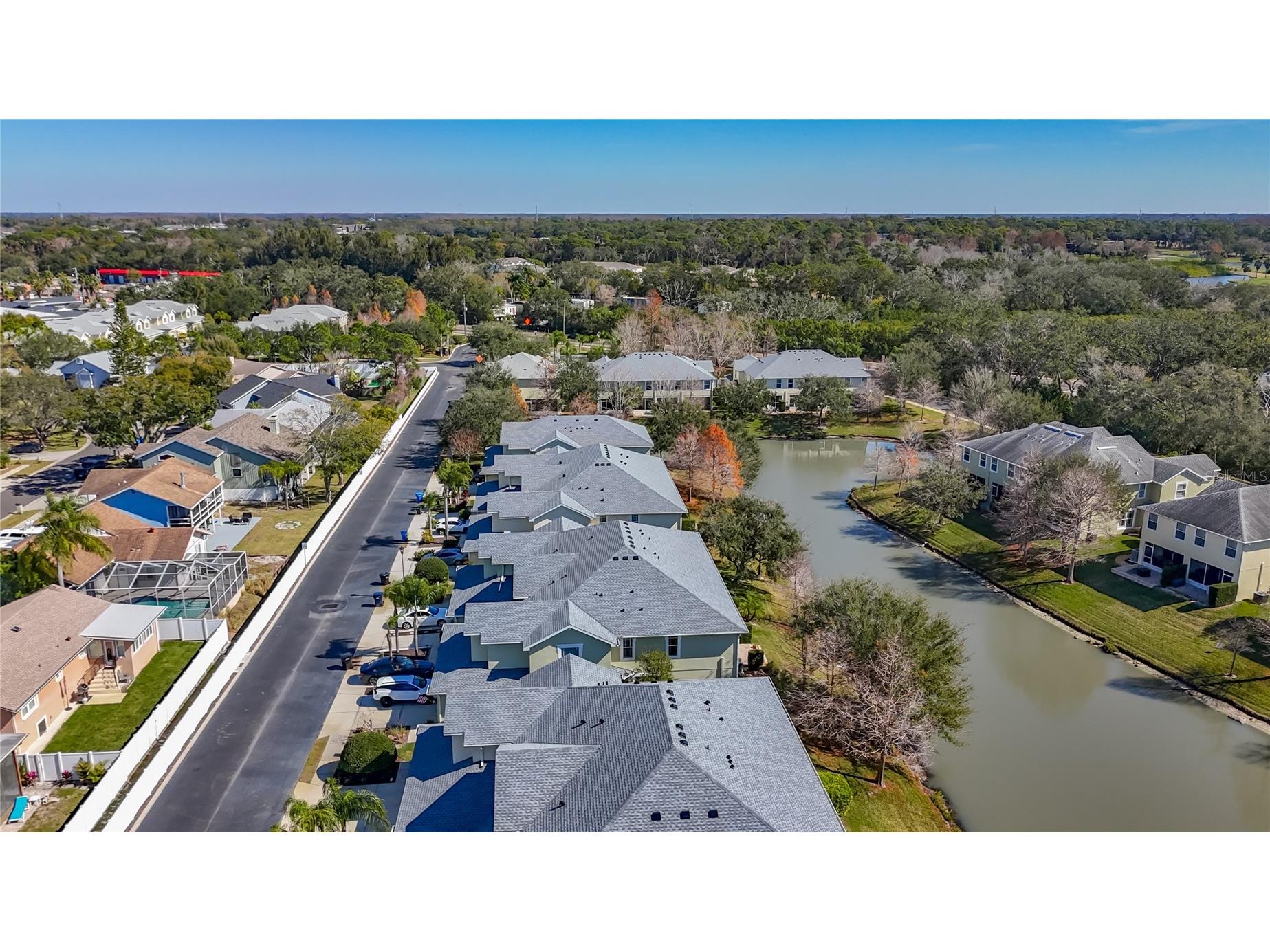 356 Harbor Ridge Drive Palm Harbor FL 34683 TB8473214 image46