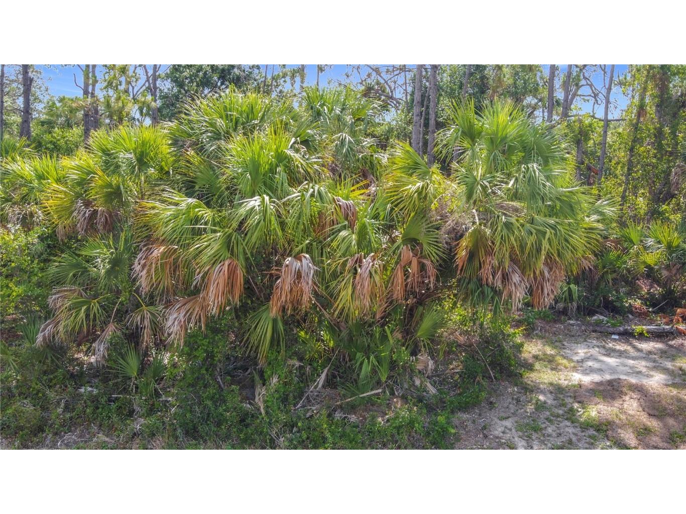 356 Lindon St Port Charlotte FL 33954 C7510379 image12