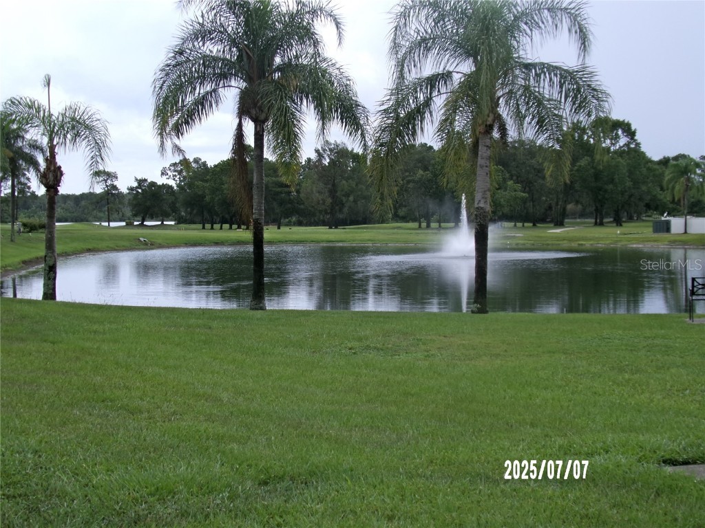 356 Sue Avenue Davenport FL 33897 - LAKE DAVENPORT G5099310 image74