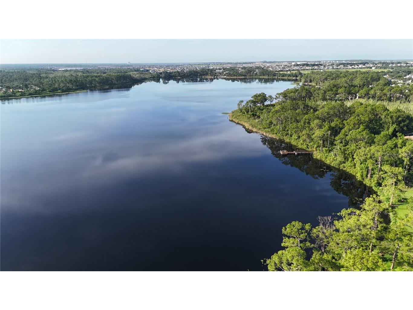 356 Sue Avenue Davenport FL 33897 - LAKE DAVENPORT G5099310 image77