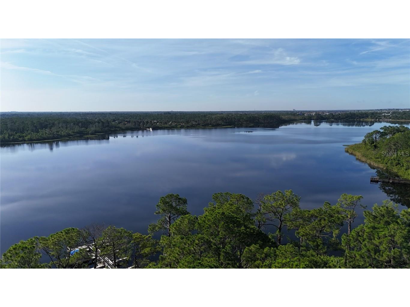 356 Sue Avenue Davenport FL 33897 - LAKE DAVENPORT G5099310 image82