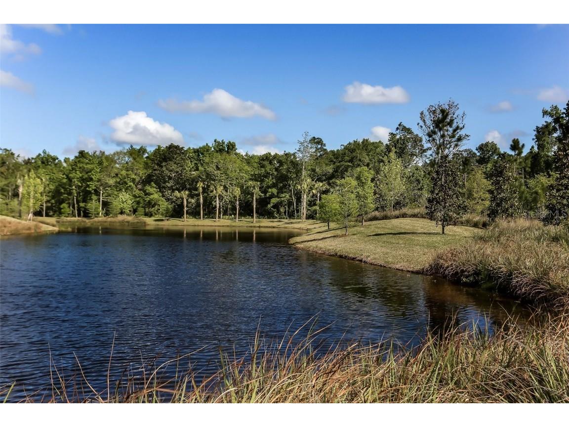 356 Waterfront Drive Saint Johns FL 32259 FC310083 image89