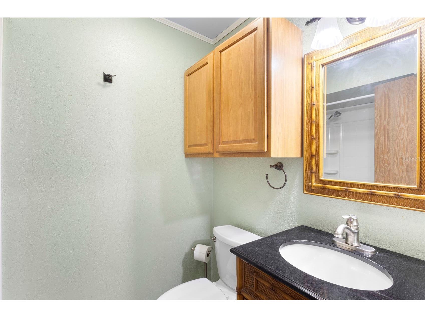 3560 Apple Orchard Drive Deltona FL 32738 V4946594 image23