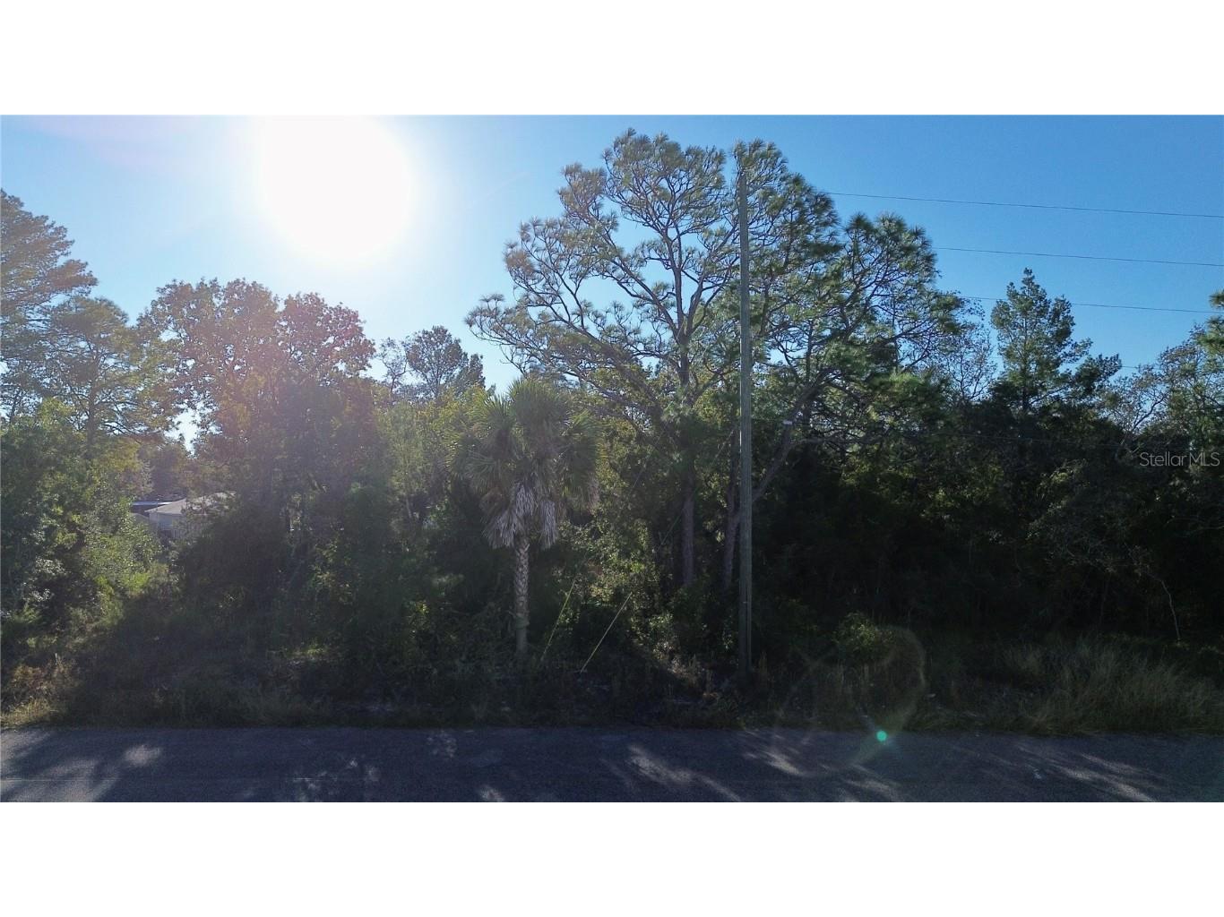 3560 Diagonal Lane Spring Hill FL 34606 TB8437987 image10