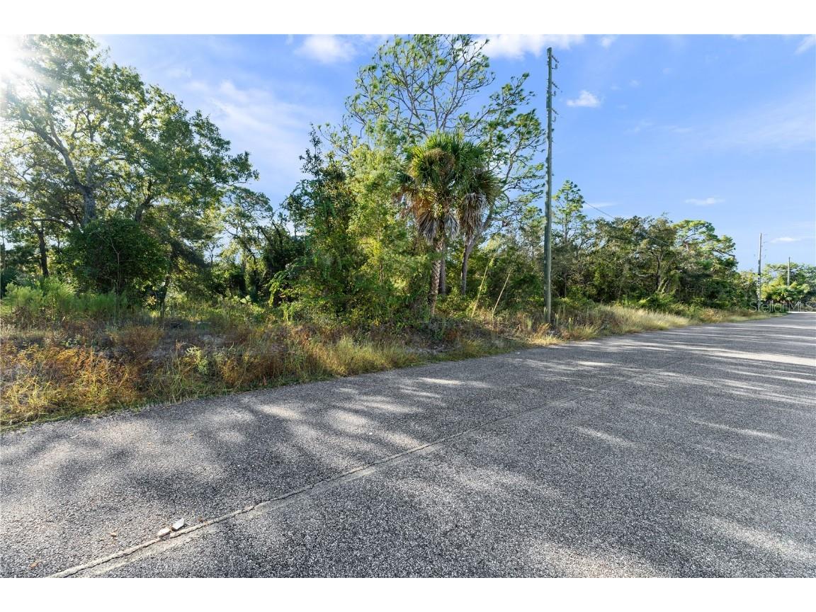 3560 Diagonal Lane Spring Hill FL 34606 TB8437987 image3