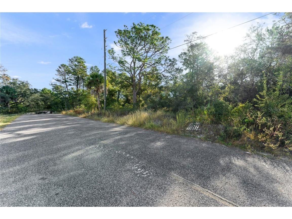 3560 Diagonal Lane Spring Hill FL 34606 TB8437987 image4