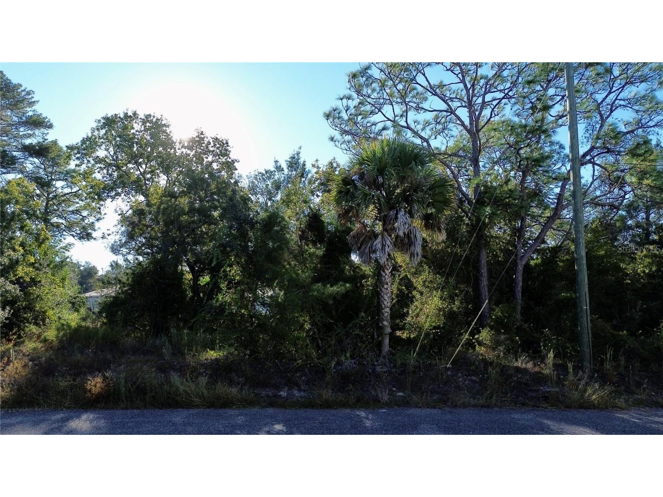 3560 Diagonal Lane Spring Hill FL 34606 TB8437987 image8