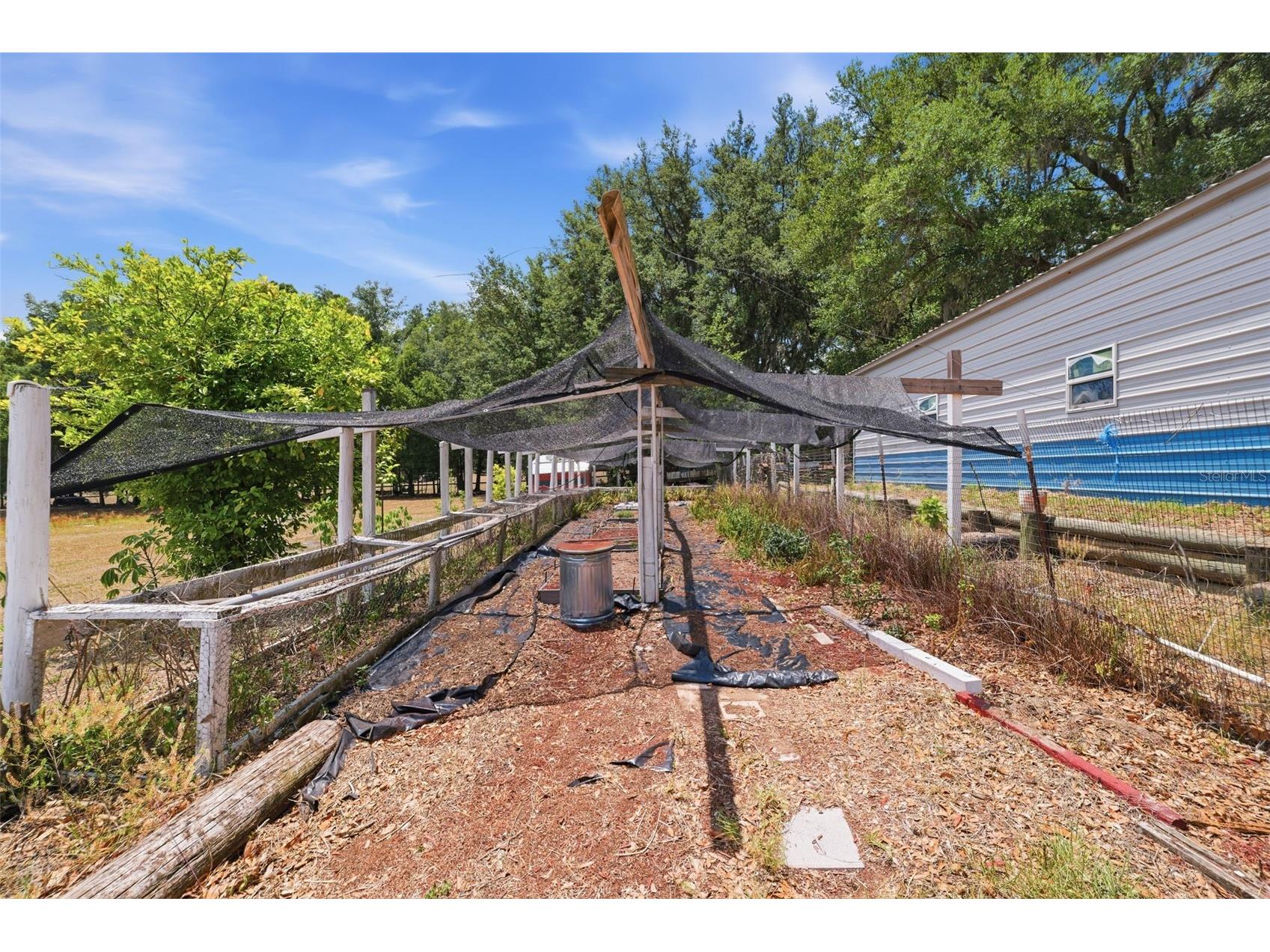 35600 Blanton Road Dade City FL 33523 W7885751 image40