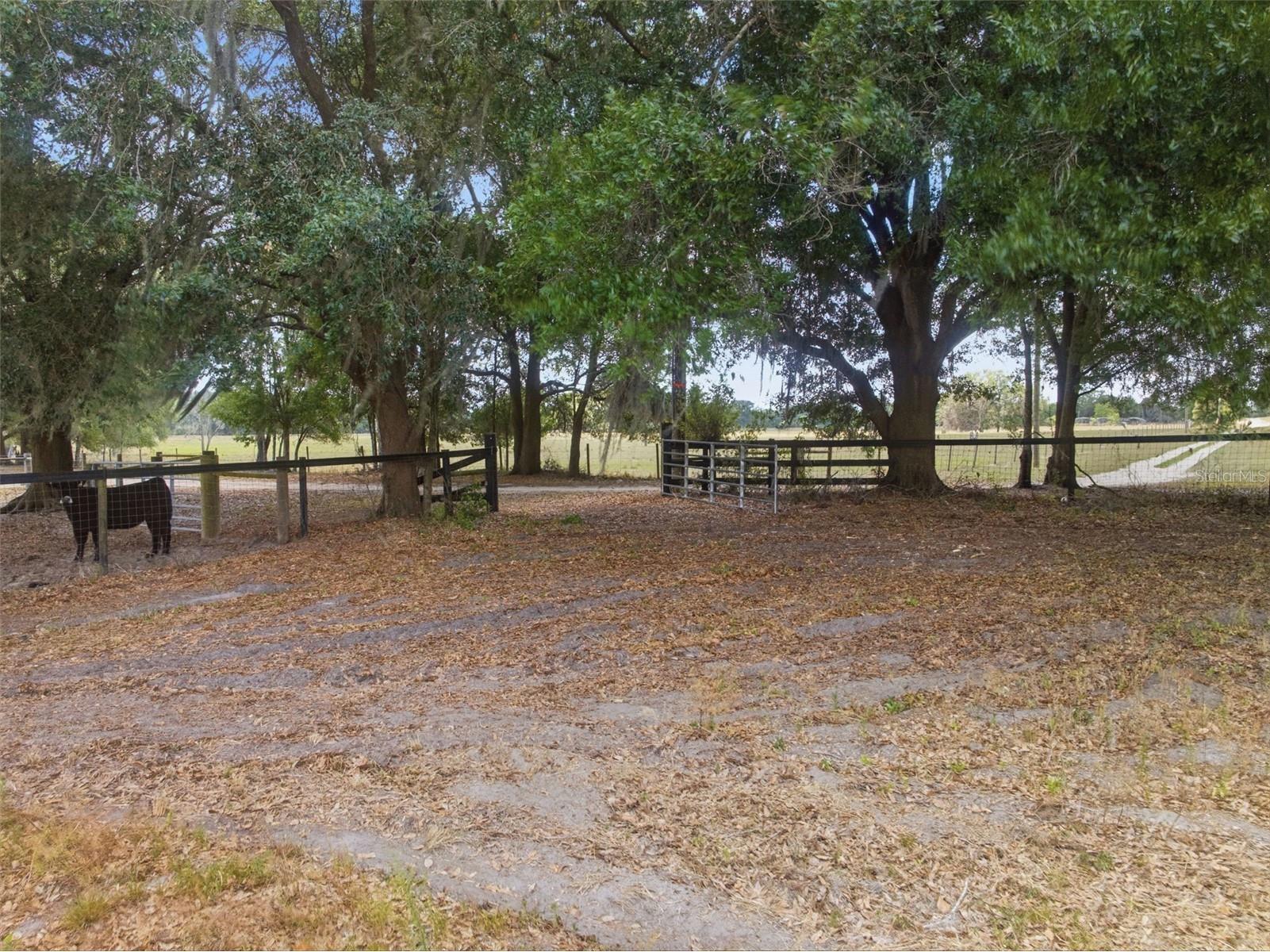 35600 Blanton Road Dade City FL 33523 W7885751 image46
