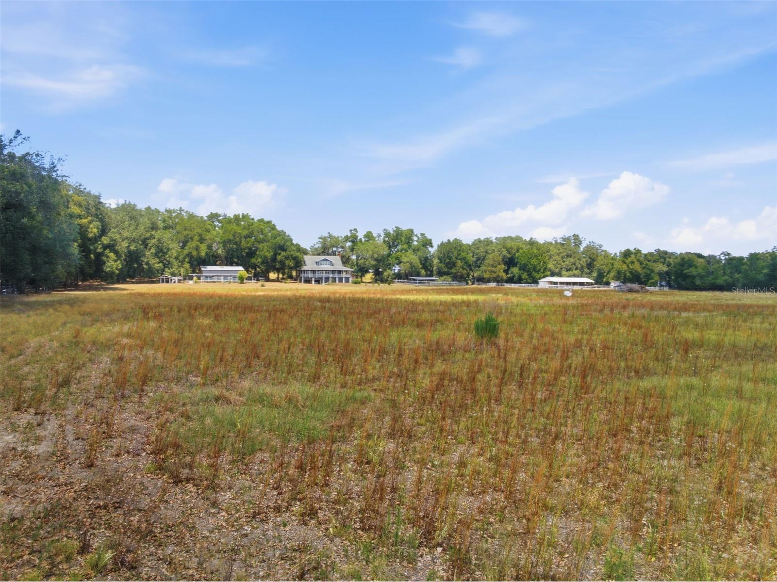 35600 Blanton Road Dade City FL 33523 W7885751 image47