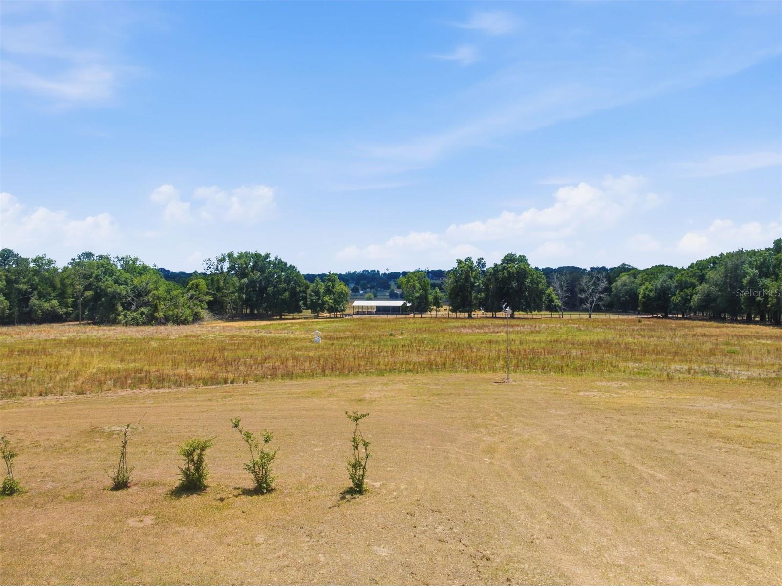35600 Blanton Road Dade City FL 33523 W7885751 image55