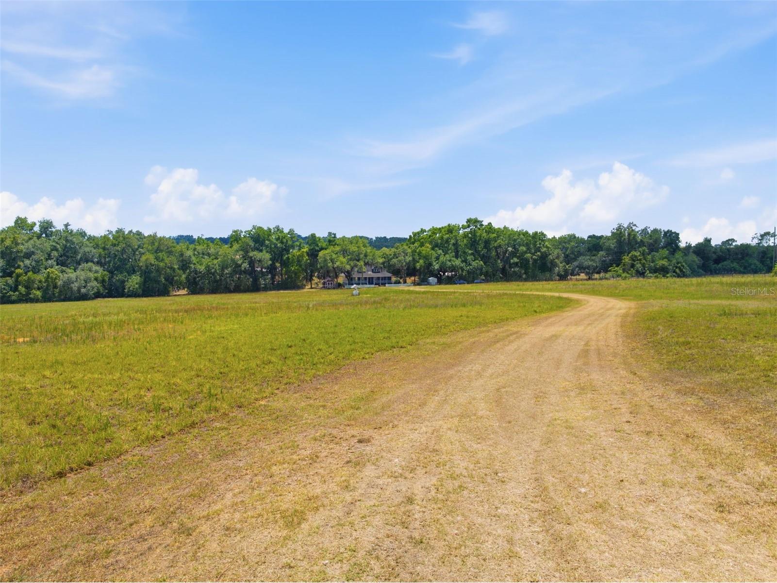 35600 Blanton Road Dade City FL 33523 W7885751 image6