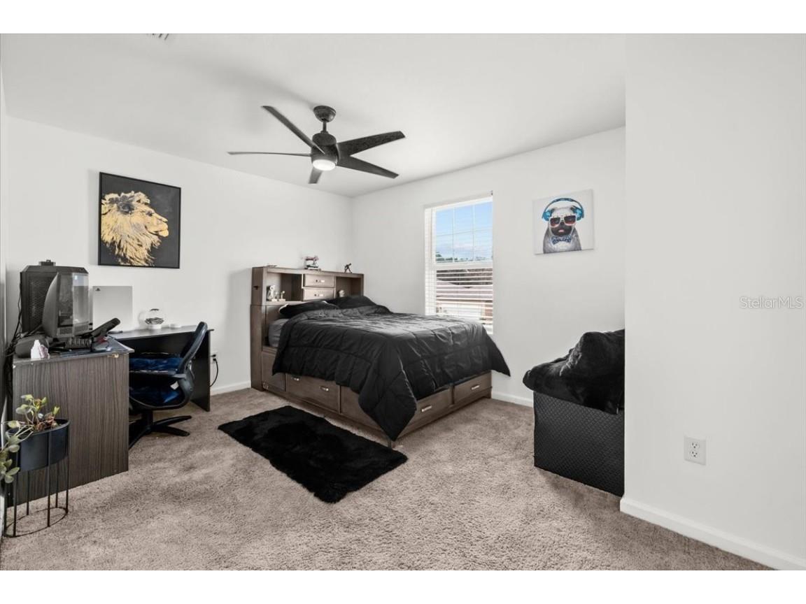 35601 Eastbrook Avenue Zephyrhills FL 33541 TB8426198 image24