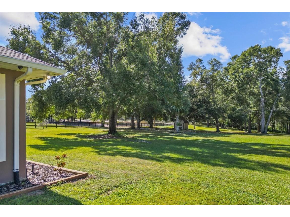 35603 Seneca Reserve Drive Eustis FL 32736 O6356940 image57