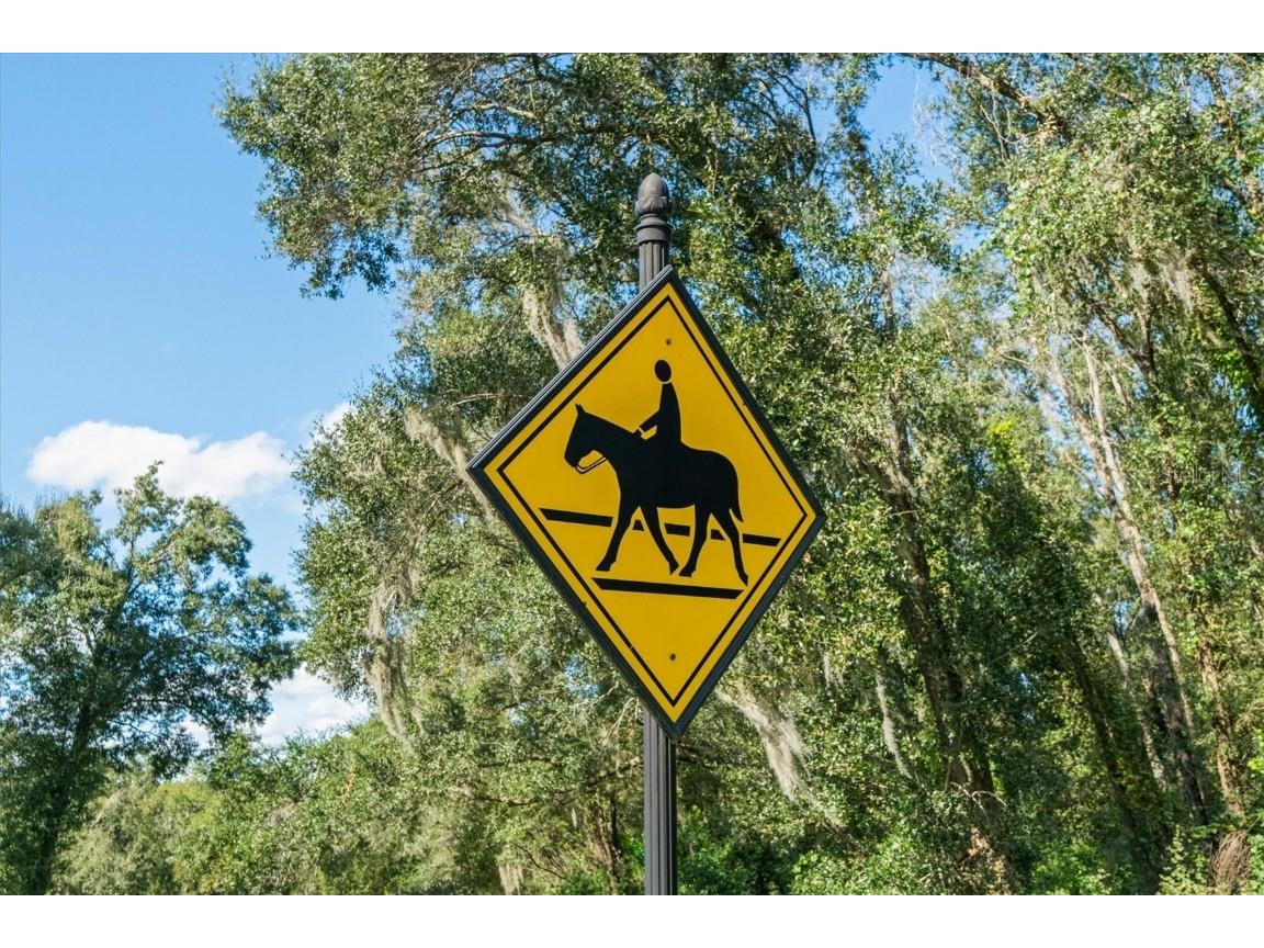 35603 Seneca Reserve Drive Eustis FL 32736 O6356940 image72