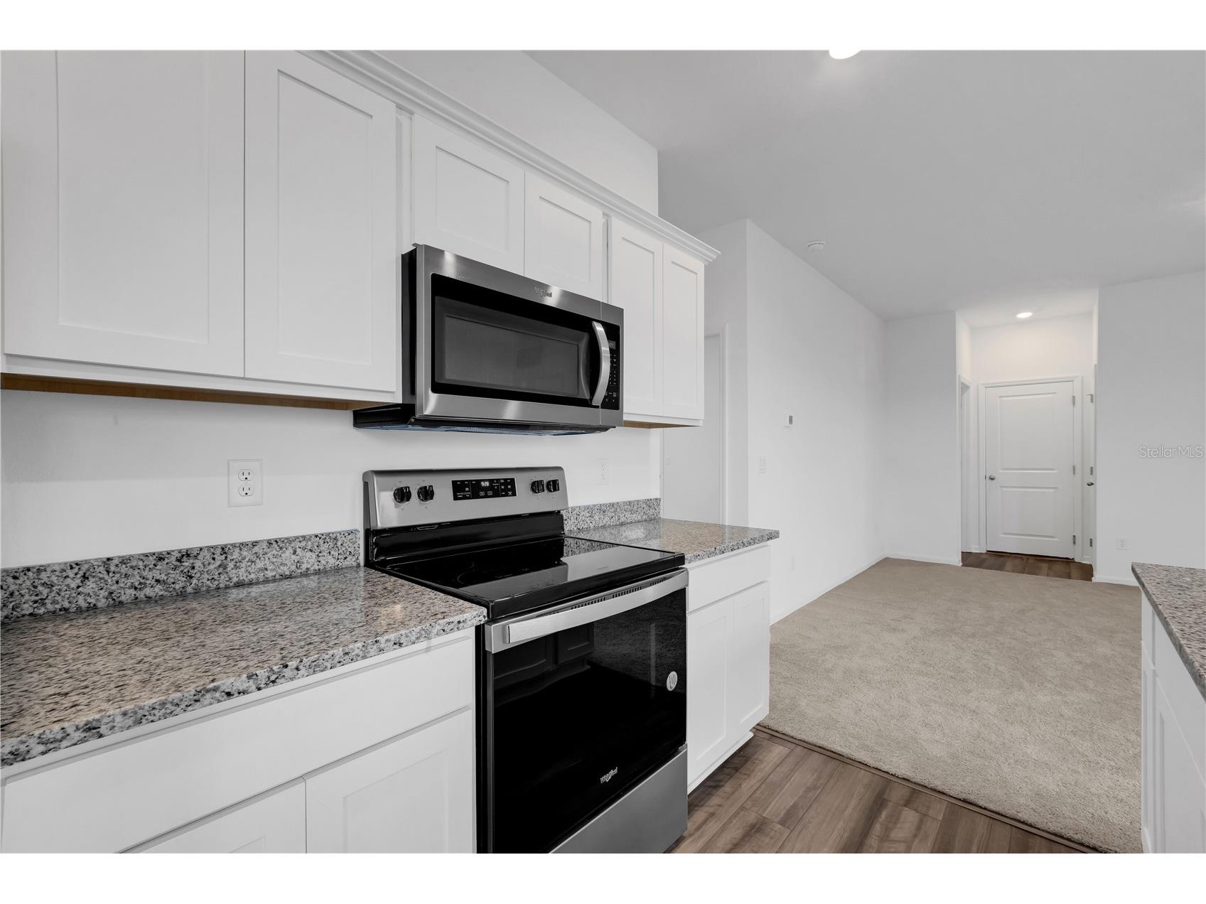35605 Buttonweed Trail Zephyrhills FL 33541 TB8506607 image13