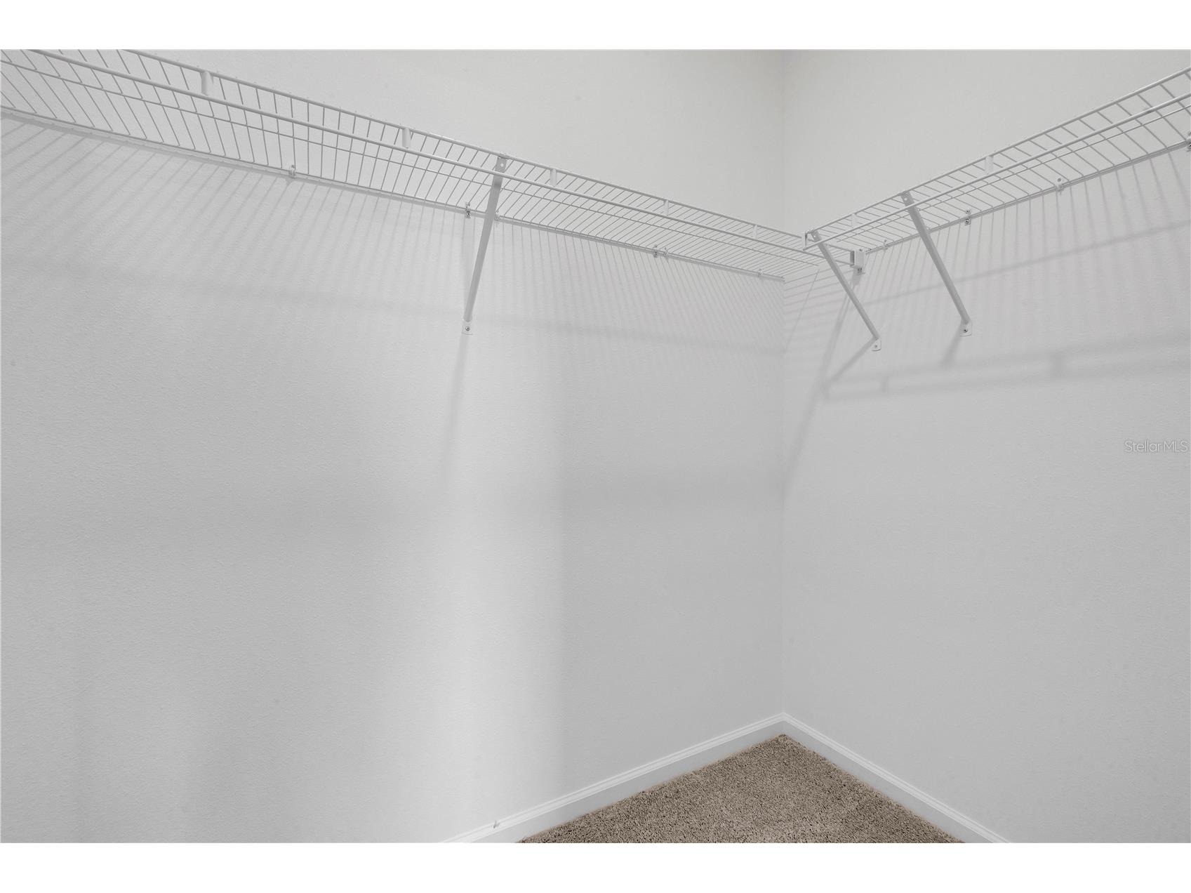 35605 Buttonweed Trail Zephyrhills FL 33541 TB8506607 image21