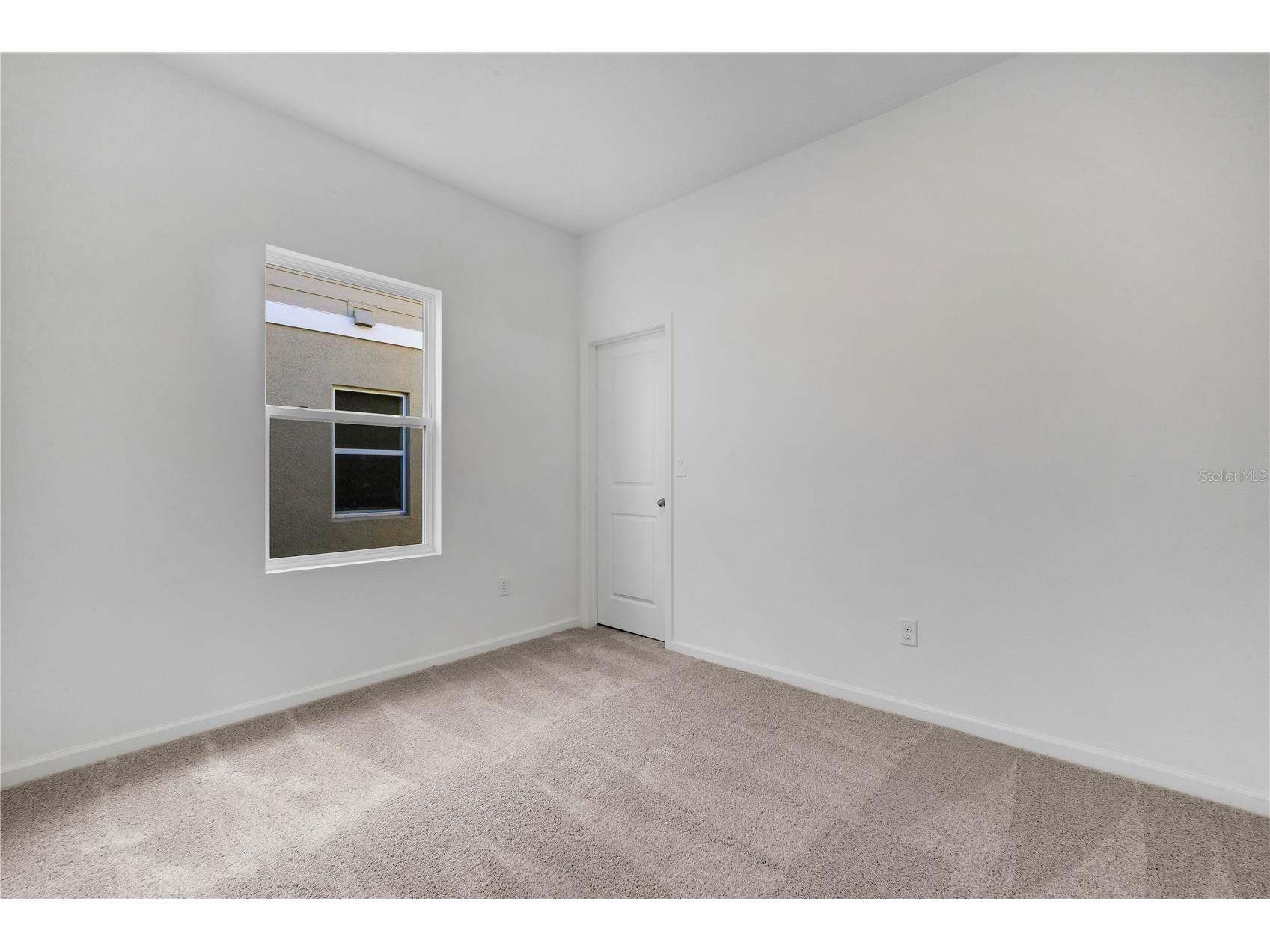 35605 Buttonweed Trail Zephyrhills FL 33541 TB8506607 image24