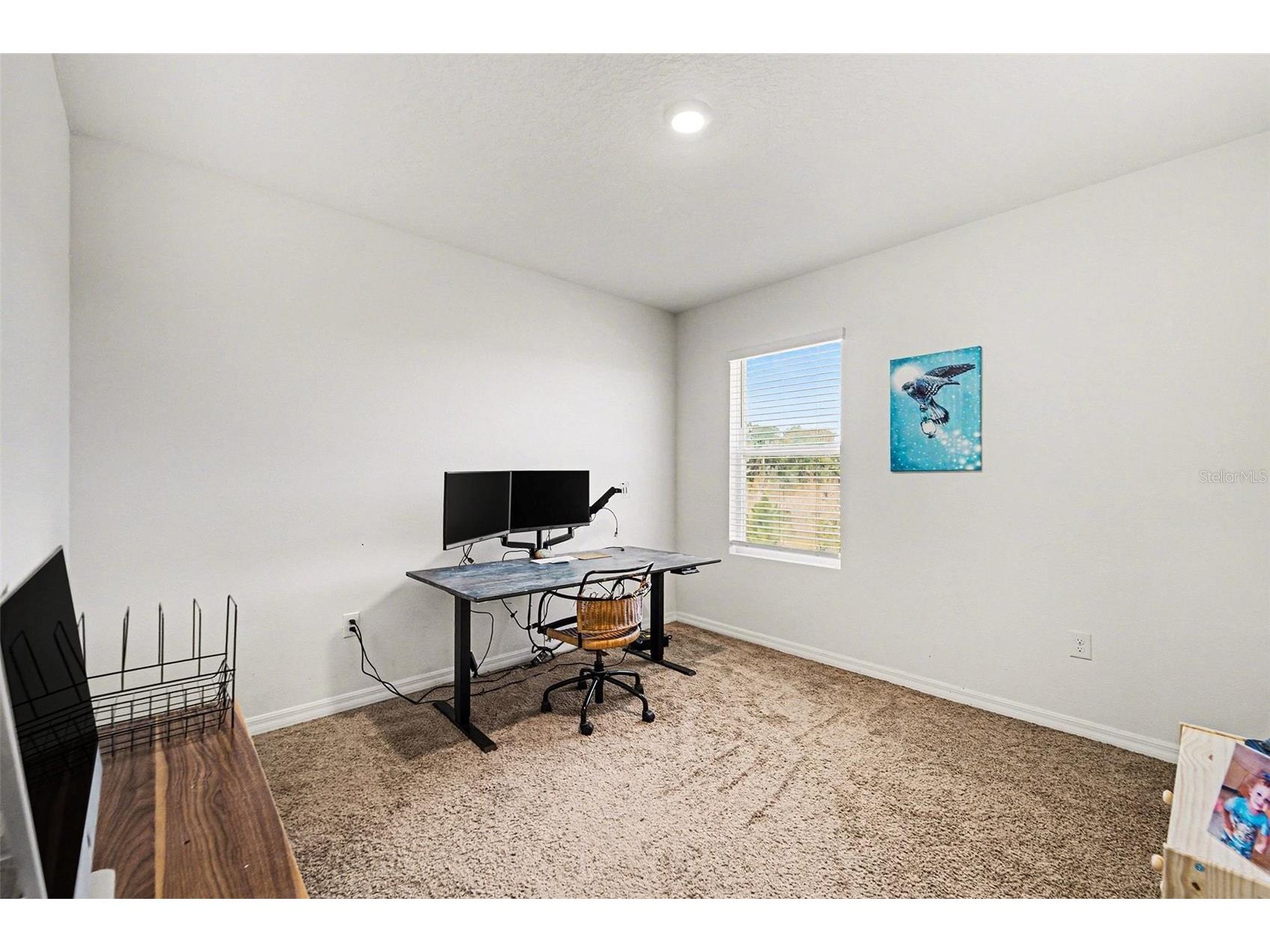 35605 Stella Vast Drive Zephyrhills FL 33541 TB8470439 image13