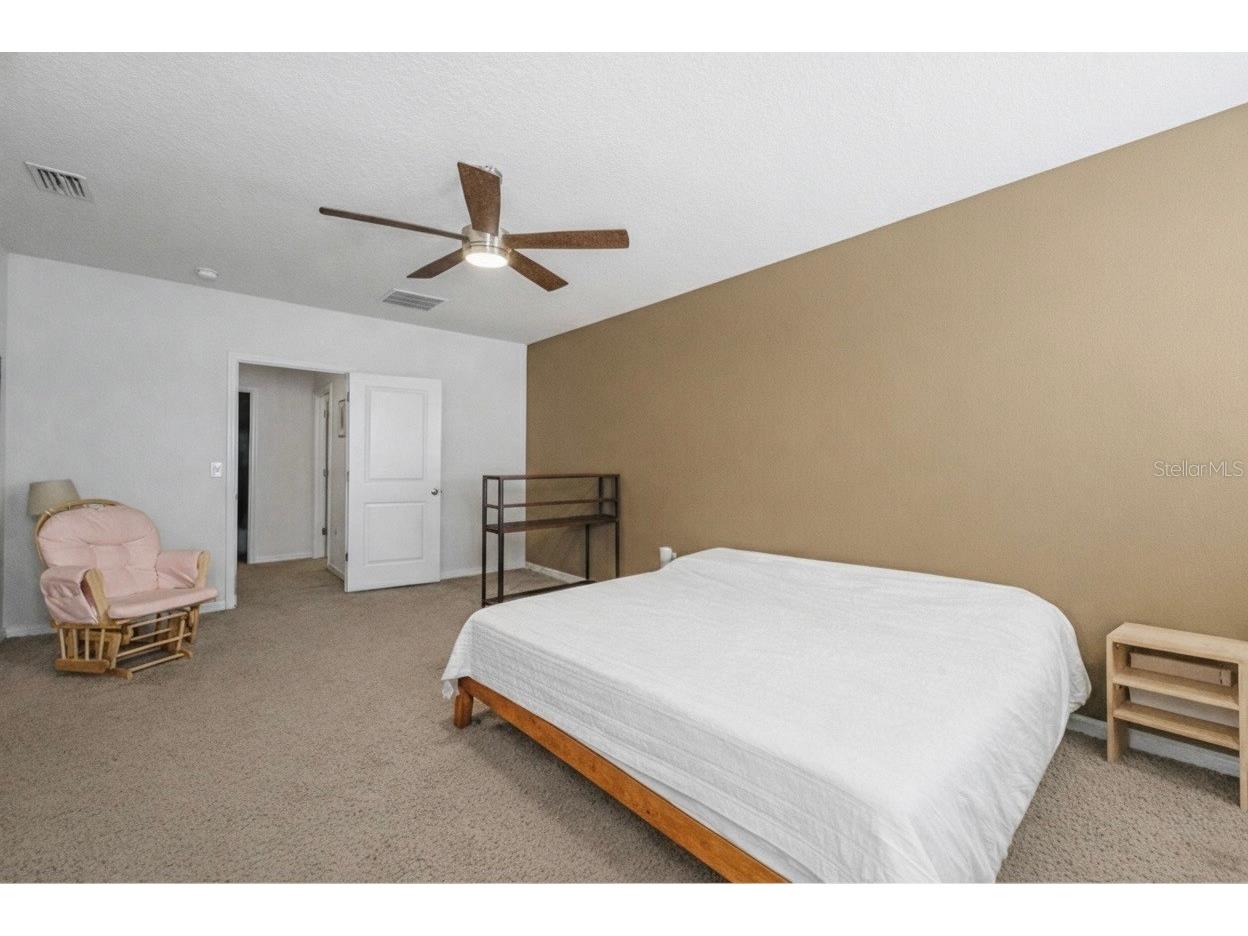 35605 Stella Vast Drive Zephyrhills FL 33541 TB8470439 image14