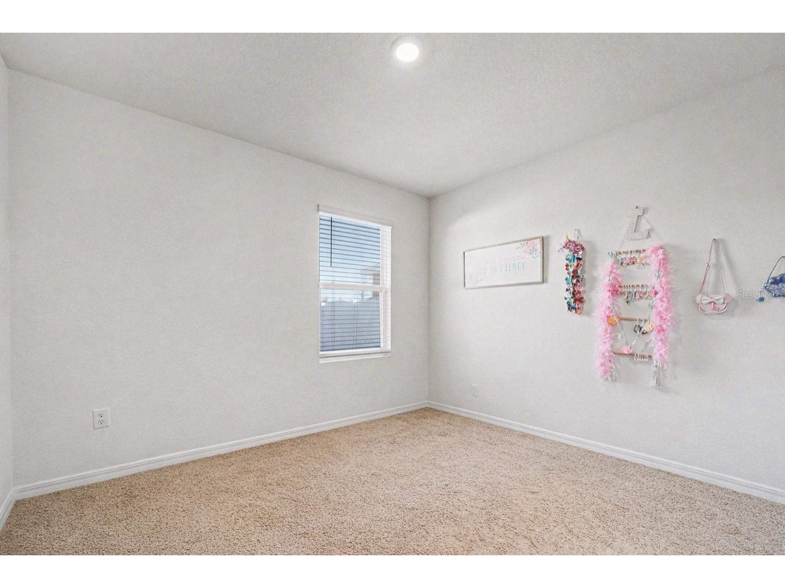 35605 Stella Vast Drive Zephyrhills FL 33541 TB8470439 image16