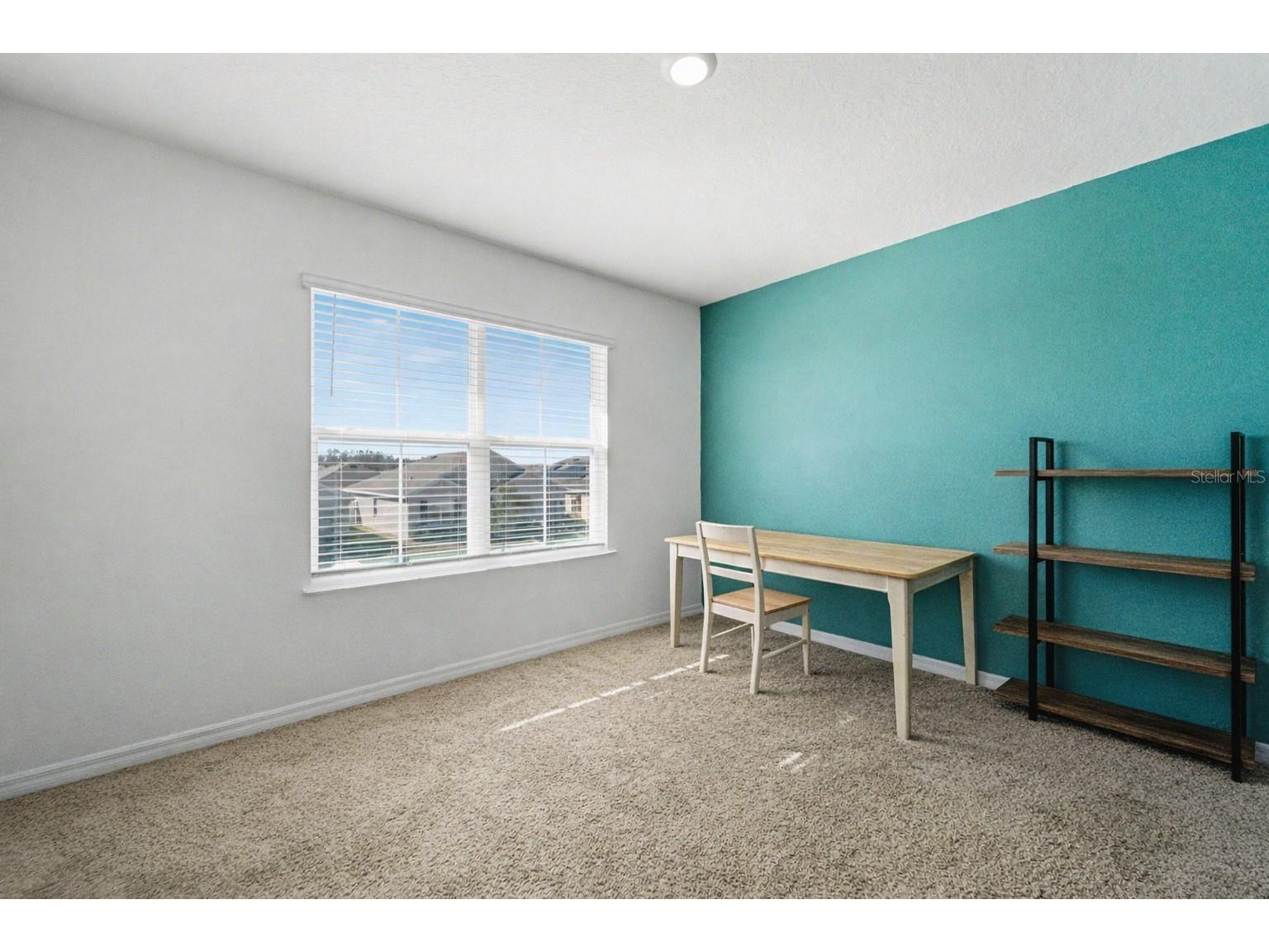 35605 Stella Vast Drive Zephyrhills FL 33541 TB8470439 image17