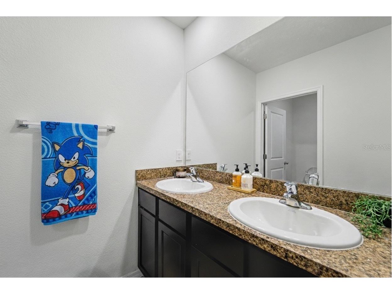 35605 Stella Vast Drive Zephyrhills FL 33541 TB8470439 image20