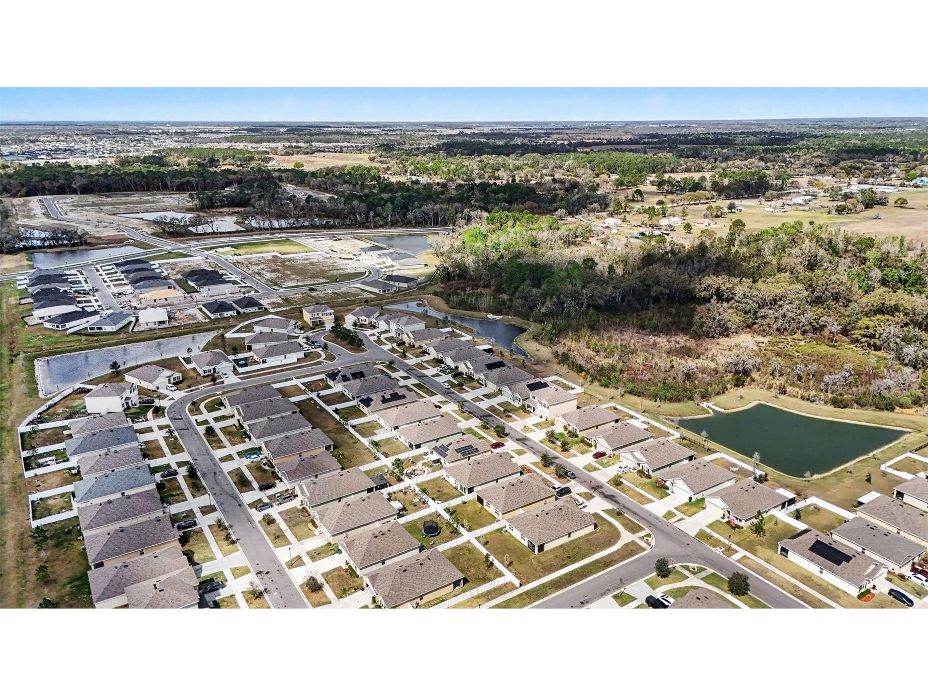 35605 Stella Vast Drive Zephyrhills FL 33541 TB8470439 image26