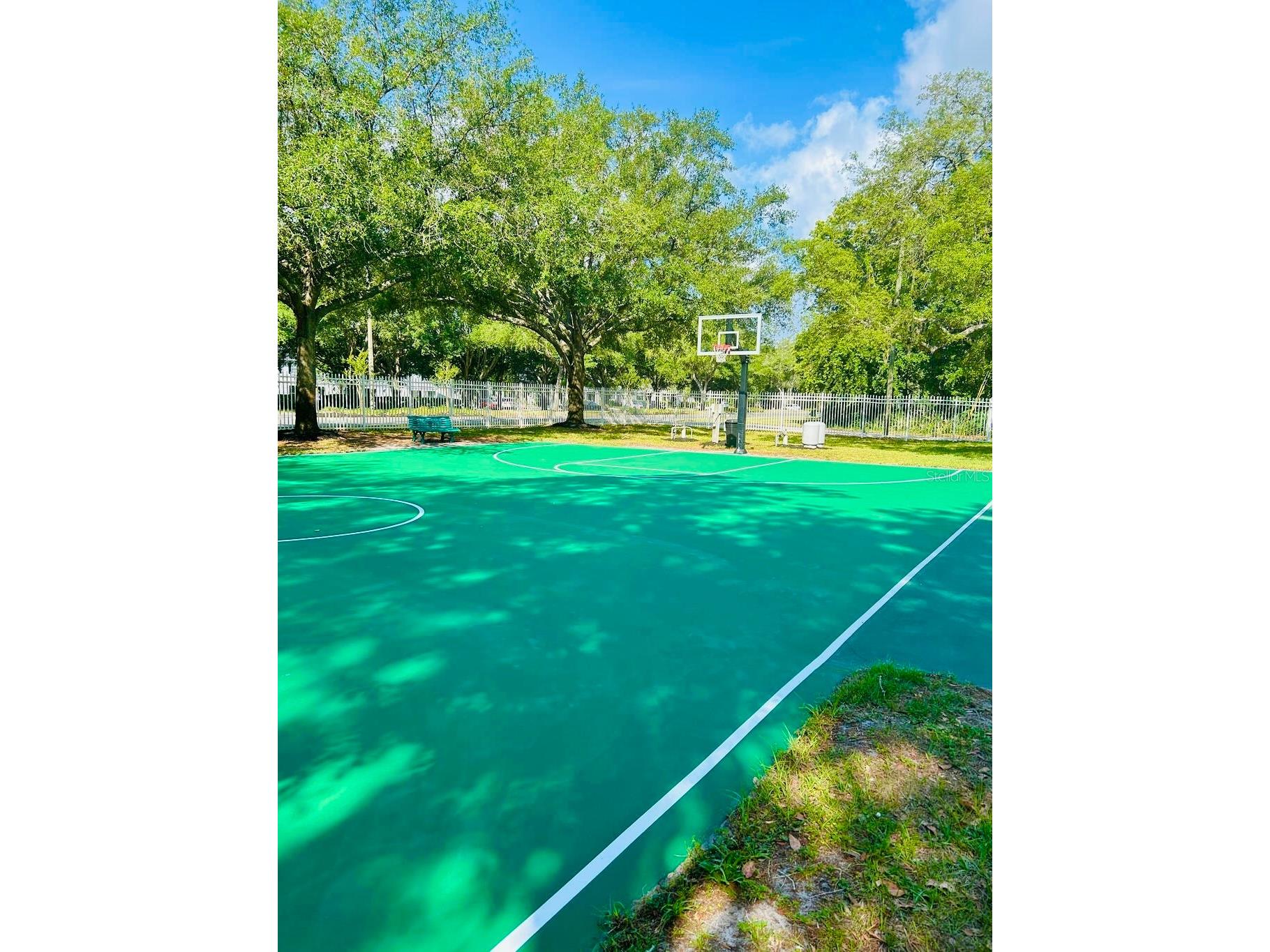 35609 Welby Court Zephyrhills FL 33541 TB8512675 image20