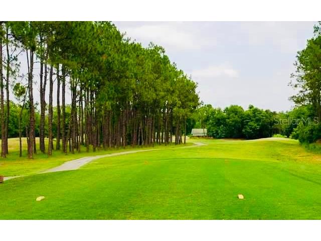 35609 Welby Court Zephyrhills FL 33541 TB8512675 image21
