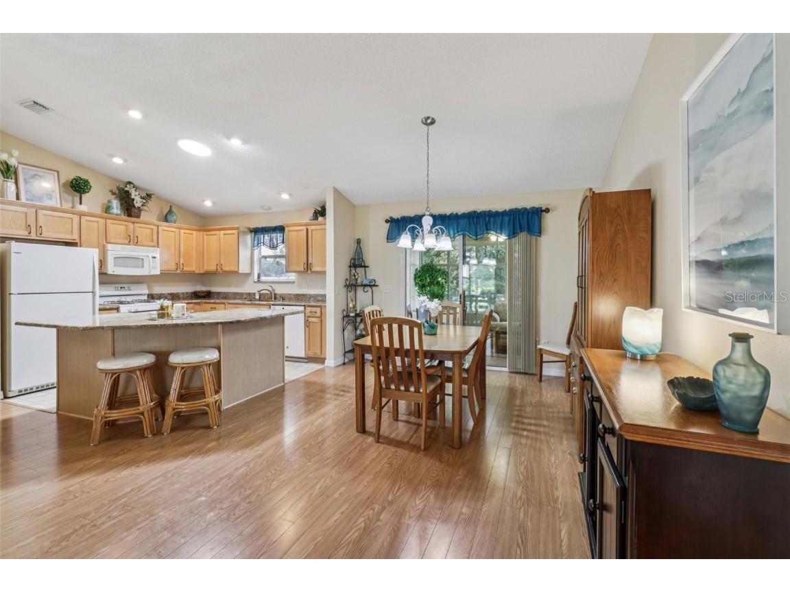 3562 Auburndale Avenue The Villages FL 32162 G5101523 image13