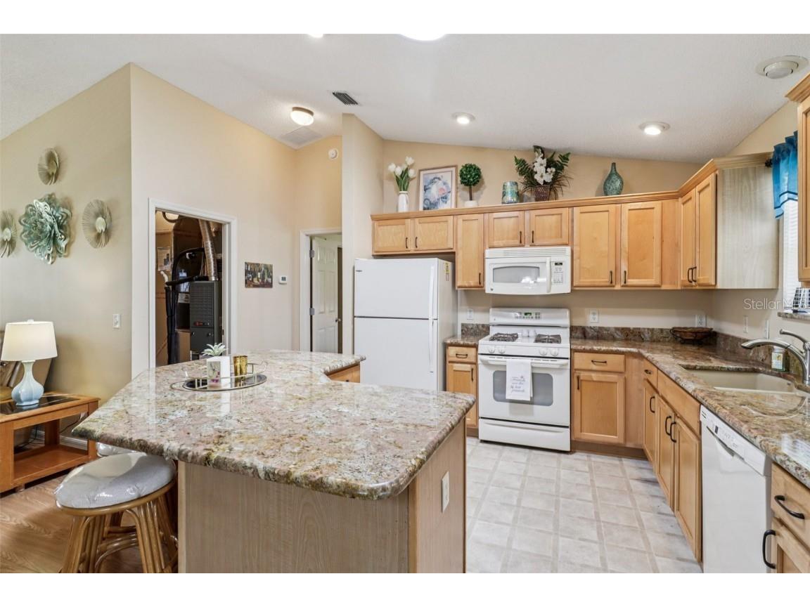 3562 Auburndale Avenue The Villages FL 32162 G5101523 image16