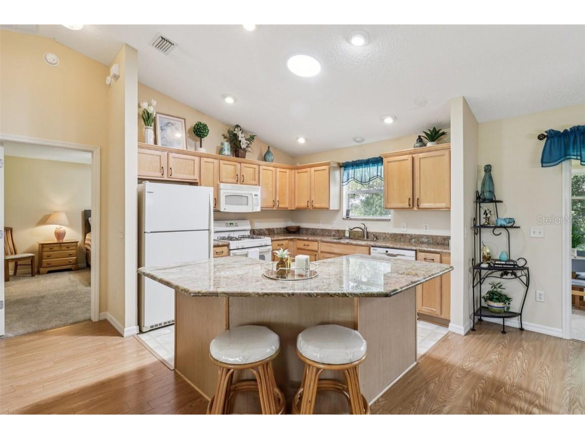 3562 Auburndale Avenue The Villages FL 32162 G5101523 image17